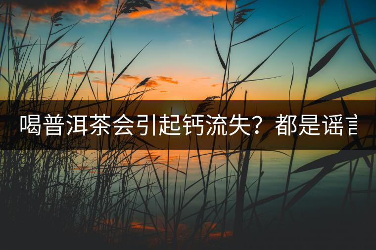 喝普洱茶會引起鈣流失？都是謠言！
