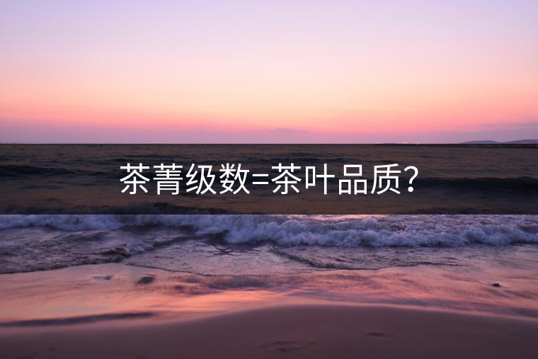 茶菁級(jí)數(shù)=茶葉品質(zhì)？