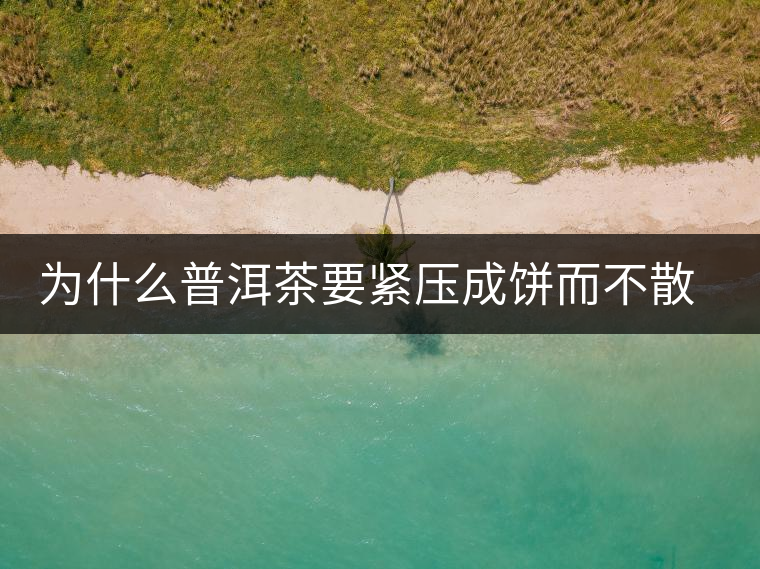 為什么普洱茶要緊壓成餅而不散存呢？