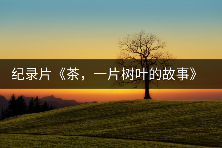 紀(jì)錄片《茶,一片樹葉的故事》 茶文化的詩(shī)意追尋 紀(jì)錄片《茶,一片樹葉的故事》 茶文化的詩(shī)意追尋