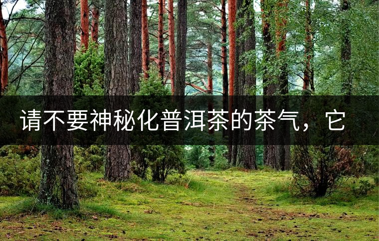 請(qǐng)不要神秘化普洱茶的茶氣，它是科學(xué)的存在