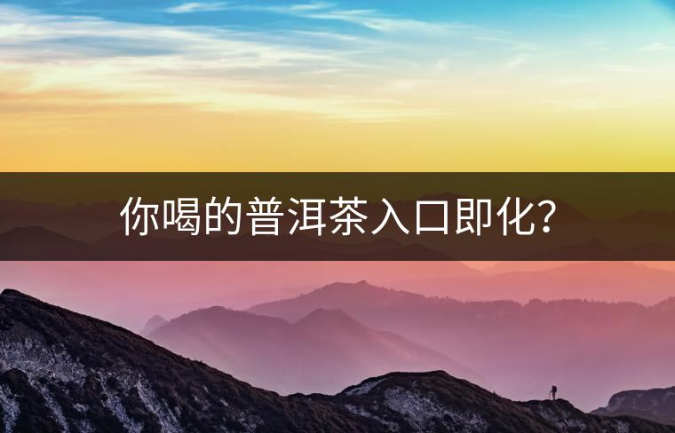 你喝的普洱茶入口即化？
