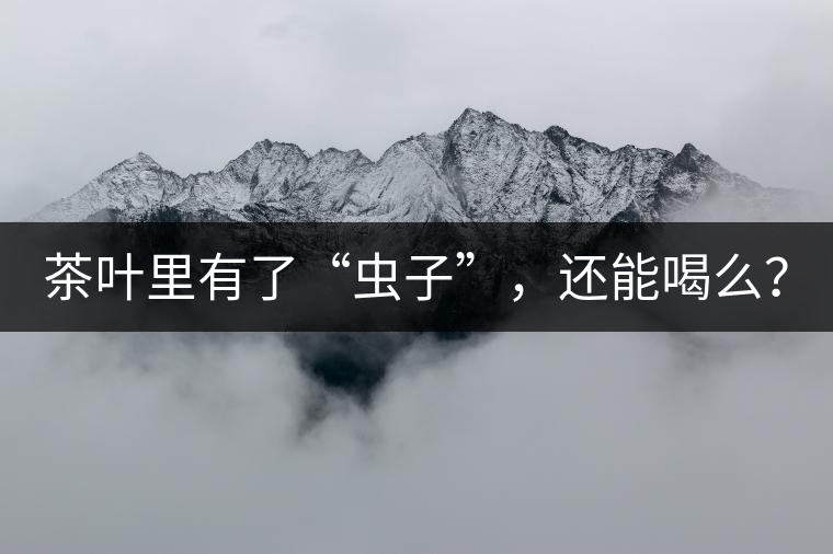茶葉里有了“蟲子”，還能喝么？