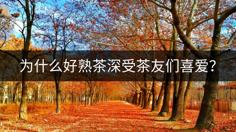 為什么好熟茶深受茶友們喜愛(ài)？