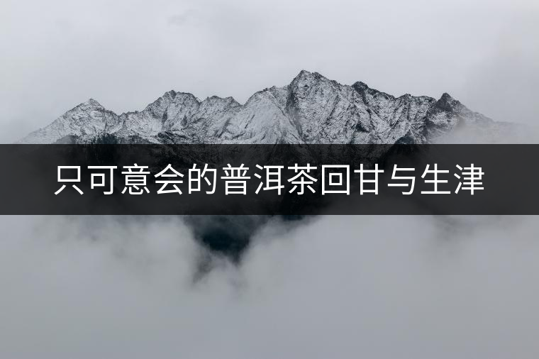 只可意會(huì)的普洱茶回甘與生津