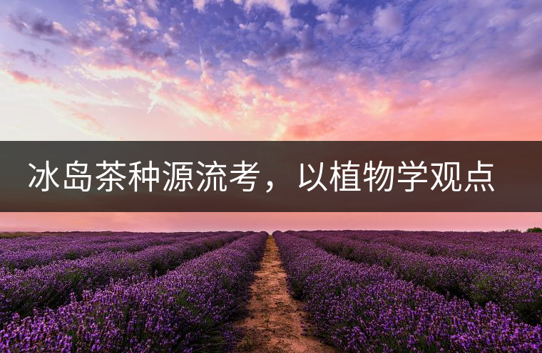 冰島茶種源流考，以植物學(xué)觀點(diǎn)解讀冰島茶