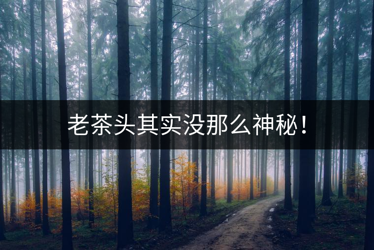 老茶頭其實(shí)沒(méi)那么神秘！