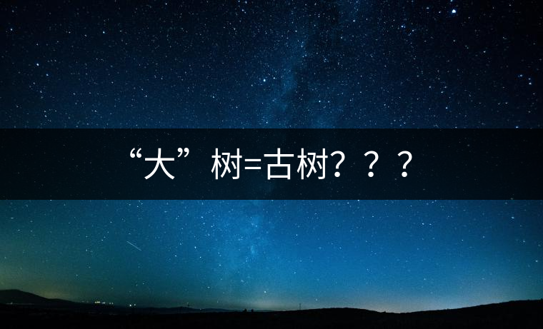 “大”樹(shù)=古樹(shù)？？？