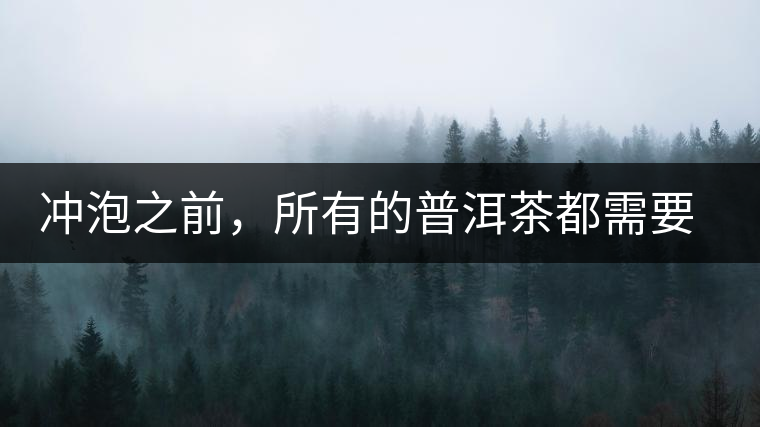 沖泡之前，所有的普洱茶都需要醒茶嗎？
