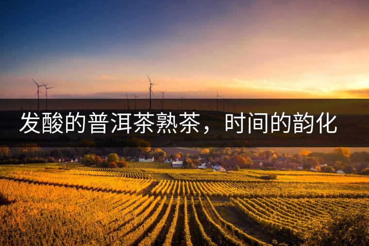 發(fā)酸的普洱茶熟茶，時間的韻化會讓它驚艷無比！
