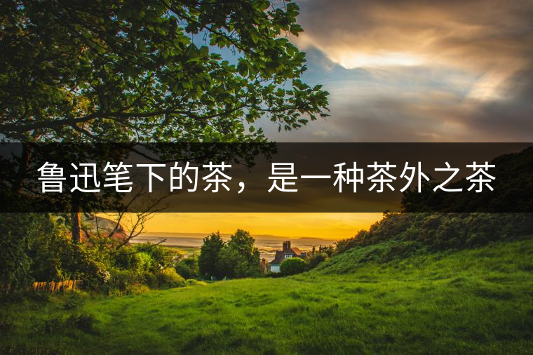 魯迅筆下的茶，是一種茶外之茶
