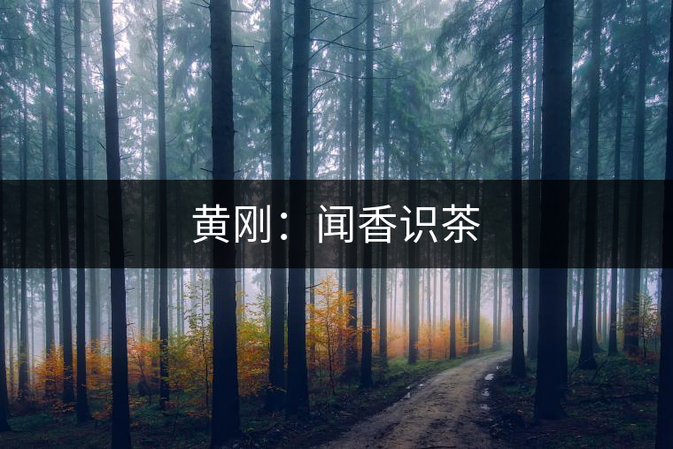 黃剛:聞香識茶 黃剛:聞香識茶