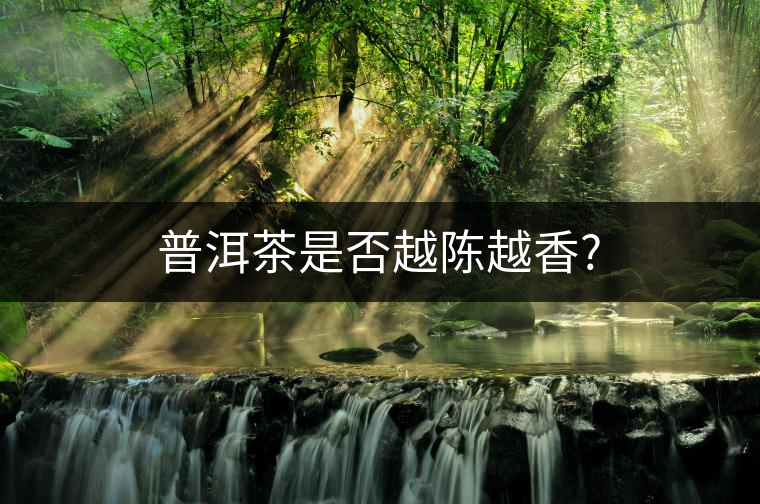 普洱茶是否越陳越香?