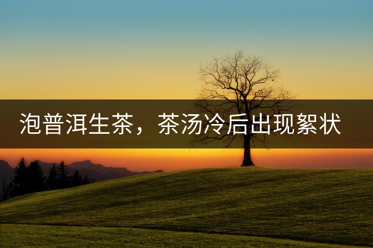 泡普洱生茶，茶湯冷后出現(xiàn)絮狀物是怎么回事？