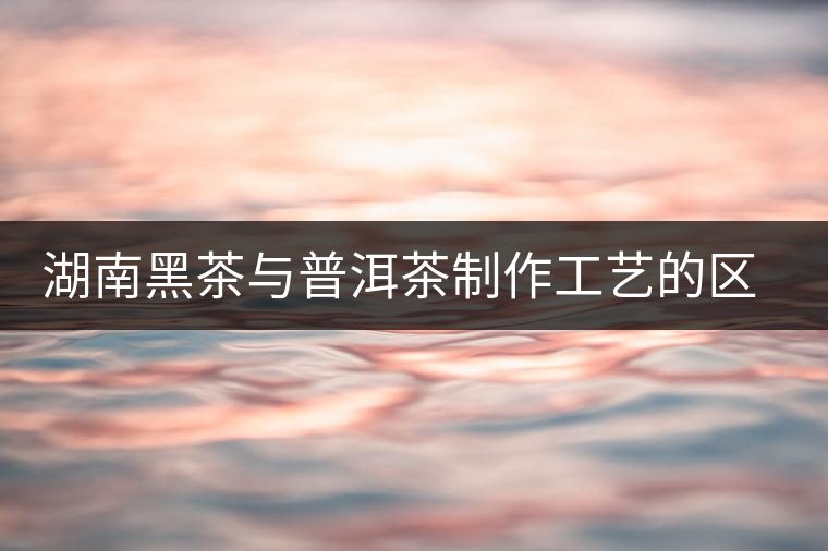 湖南黑茶與普洱茶制作工藝的區(qū)別