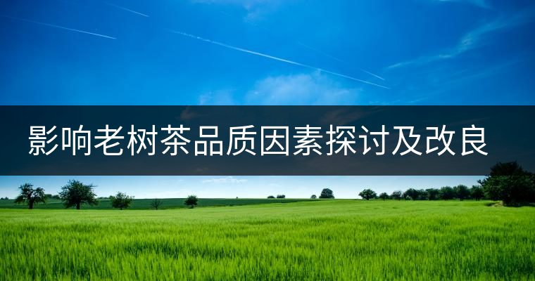 影響老樹茶品質(zhì)因素探討及改良建議