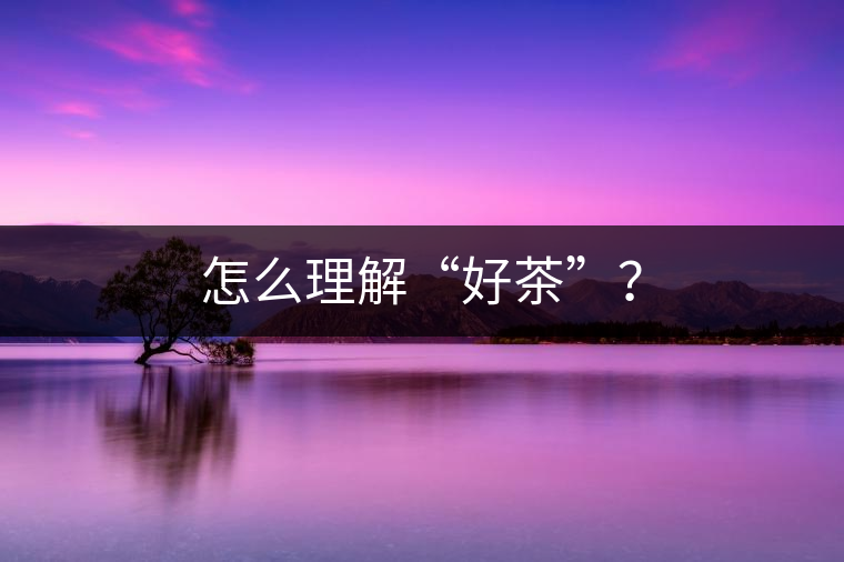 怎么理解“好茶”？