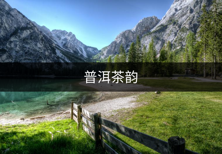 普洱茶韻