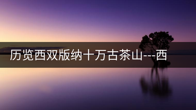 歷覽西雙版納十萬古茶山---西雙版納州古茶樹古茶園資源普查報告 歷覽西雙版納十萬古茶山---西雙版納州古茶樹古茶園資源普查報告