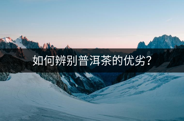 如何辨別普洱茶的優(yōu)劣？