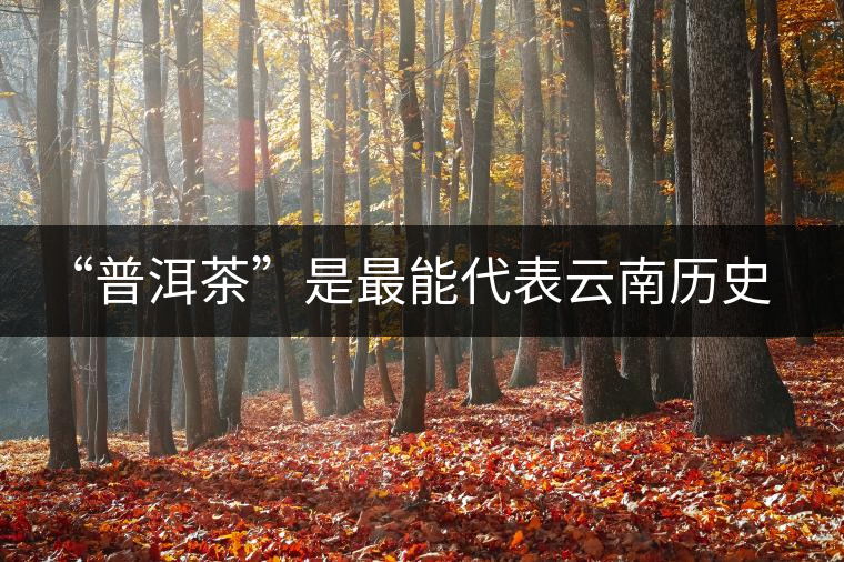 “普洱茶”是最能代表云南歷史文化的茶品