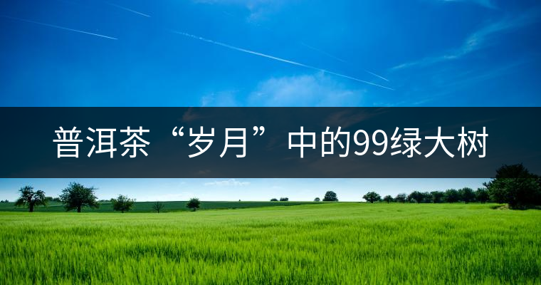普洱茶“歲月”中的99綠大樹(shù)