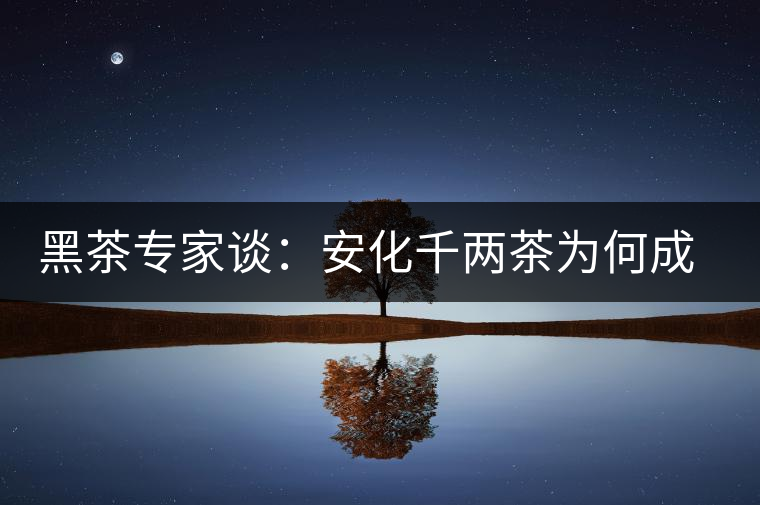 黑茶專家談：安化千兩茶為何成“世界茶王”？