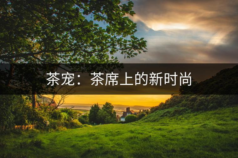 茶寵:茶席上的新時尚 茶寵:茶席上的新時尚