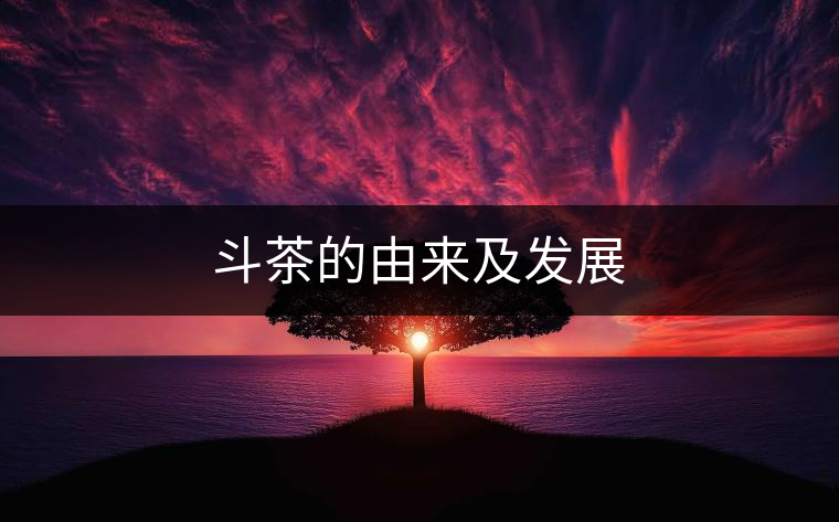 斗茶的由來及發(fā)展