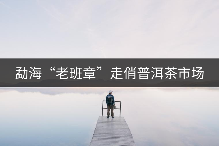 勐海“老班章”走俏普洱茶市場