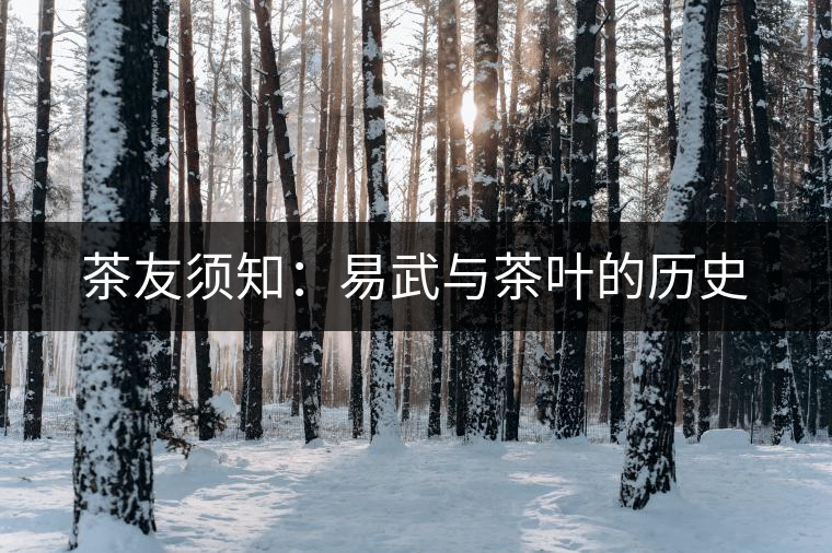 茶友須知：易武與茶葉的歷史