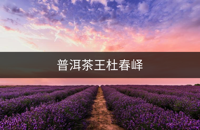 普洱茶王杜春嶧