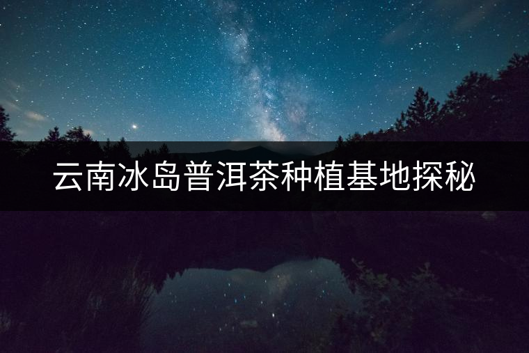 云南冰島普洱茶種植基地探秘