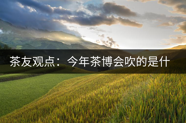 茶友觀點(diǎn)：今年茶博會(huì)吹的是什么風(fēng)？