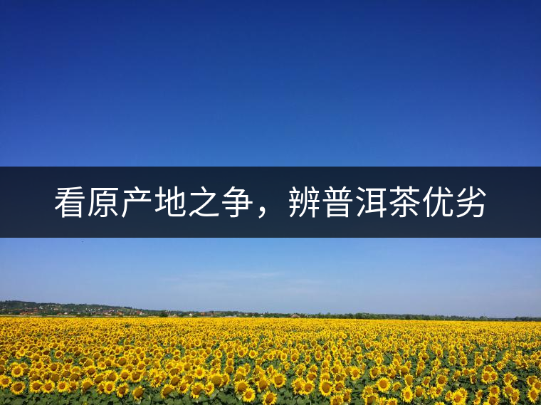 看原產(chǎn)地之爭(zhēng)，辨普洱茶優(yōu)劣