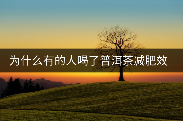 為什么有的人喝了普洱茶減肥效果不明顯呢？