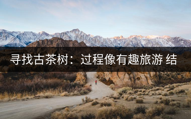尋找古茶樹(shù):過(guò)程像有趣旅游 結(jié)果是非凡的文化 尋找古茶樹(shù):過(guò)程像有趣旅游 結(jié)果是非凡的文化