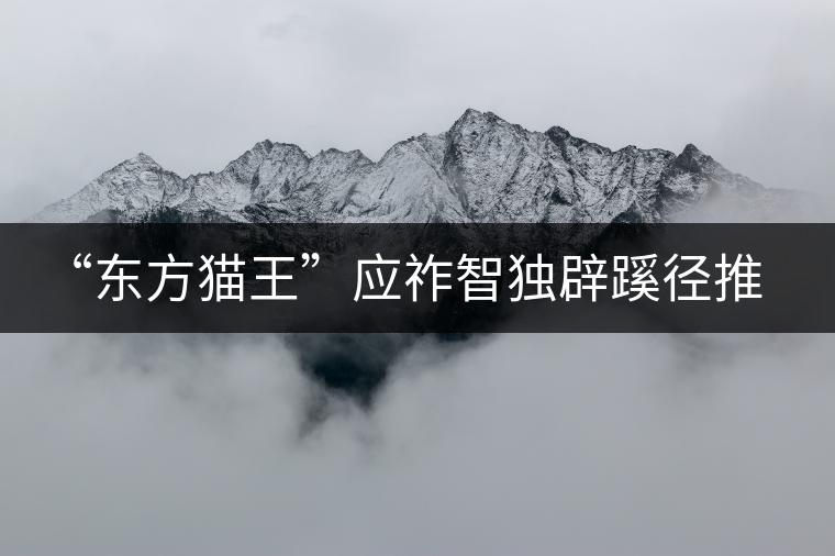“東方貓王”應(yīng)祚智獨(dú)辟蹊徑推出普洱茶工藝對(duì)聯(lián)