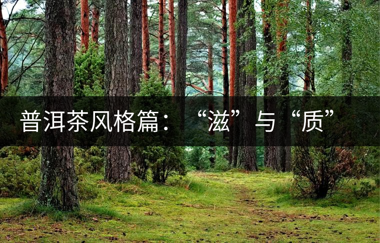 普洱茶風(fēng)格篇：“滋”與“質(zhì)”（談普洱茶數(shù)字化評價(jià)體系三）