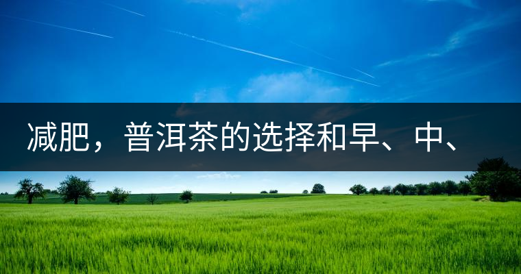 減肥，普洱茶的選擇和早、中、晚的喝法