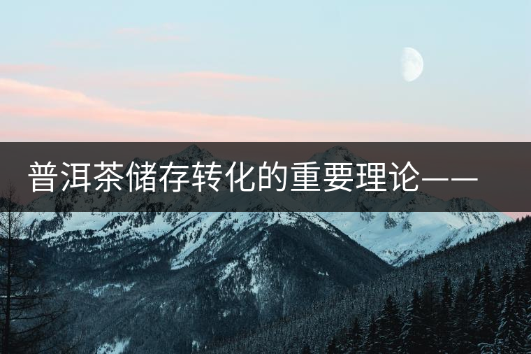 普洱茶儲(chǔ)存轉(zhuǎn)化的重要理論——內(nèi)發(fā)酵理論