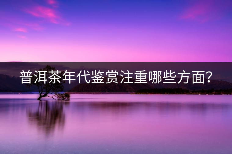 普洱茶年代鑒賞注重哪些方面？