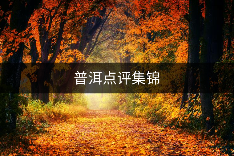 普洱點評集錦