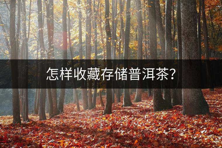 怎樣收藏存儲(chǔ)普洱茶？