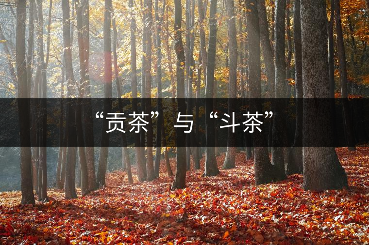 “貢茶”與“斗茶”
