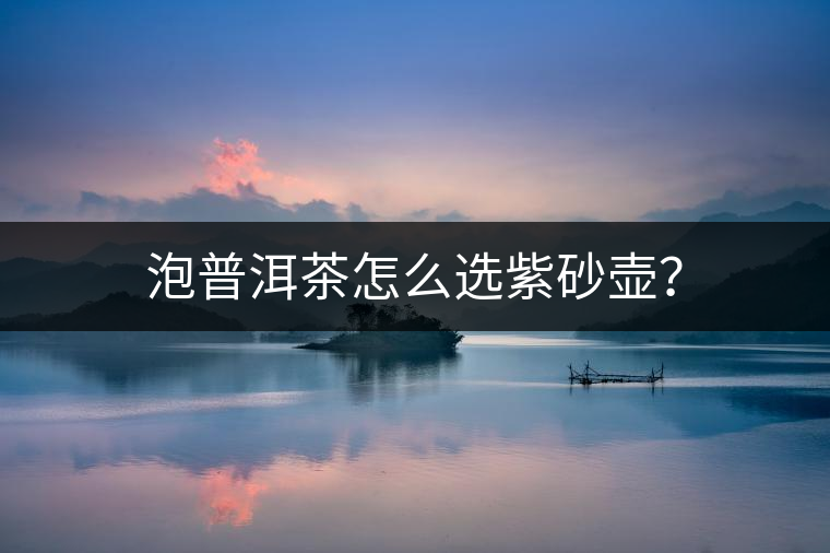 泡普洱茶怎么選紫砂壺？