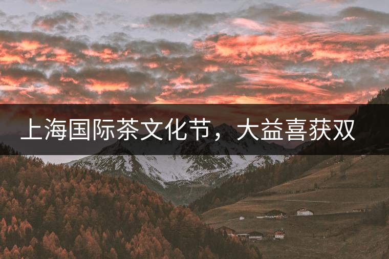 上海國(guó)際茶文化節(jié)，大益喜獲雙獎(jiǎng)