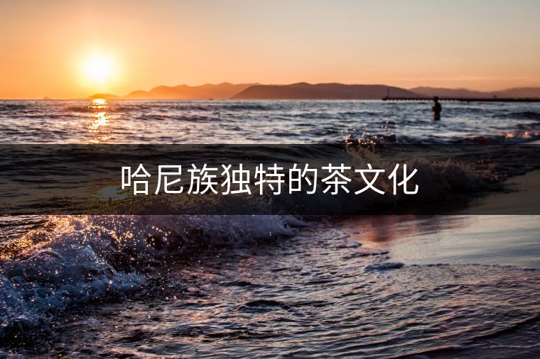 哈尼族獨特的茶文化
