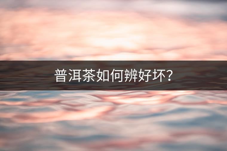 普洱茶如何辨好壞？