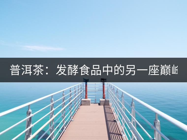 普洱茶：發(fā)酵食品中的另一座巔峰（上）